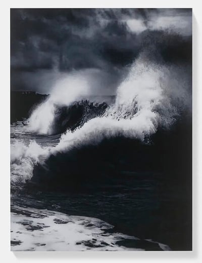 Damien Hirst – Faneel H13-11 from Where The Land Meets The Sea, 2023 – Photographie
