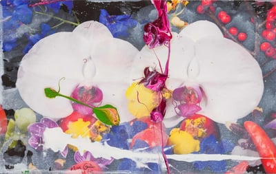 Marc Quinn – Orchids, 2012 – Mixed média