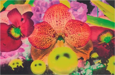 Marc Quinn – Sepas Mous, 2009 – Mixed média