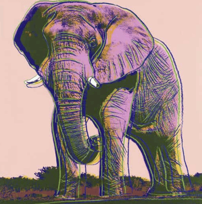 African Elephant, from Endangered Species (F. & S. 293)