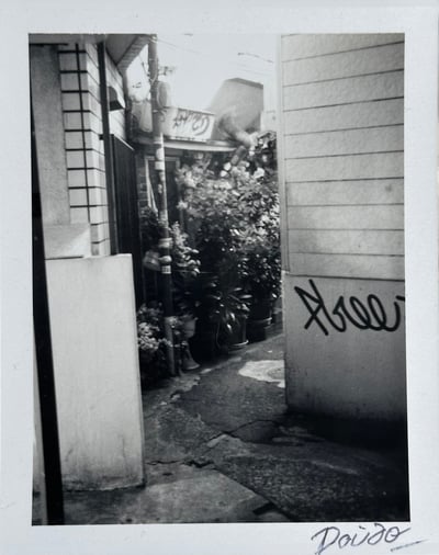 Daido Moriyama – Passage 4, 1998-1999 – Polaroid