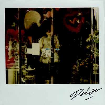 Daido Moriyama – Bye-Bye Polaroid 9, 2008 – Polaroid
