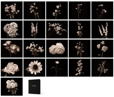 Flora Industrialis B/N