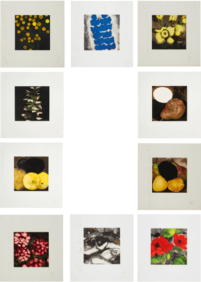 Fruit & Flowers