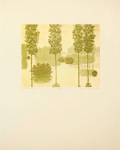 Flood Light, from Art Pro-Choice II