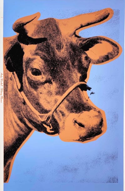 Cow, II.11A
