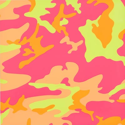 Camouflage (F. & S. II.409)