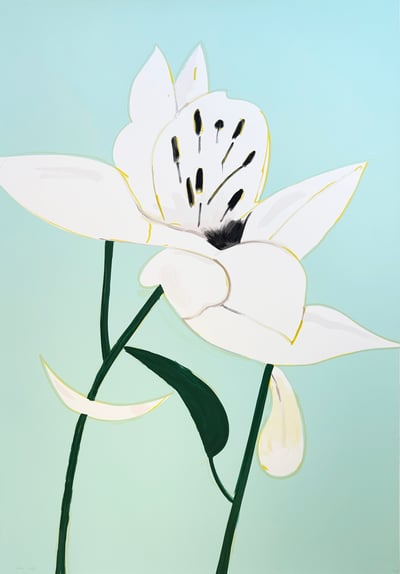 White Lilies 3