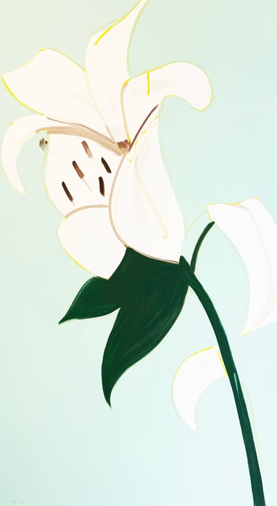 White Lilies 4