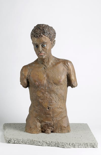 Male Torso