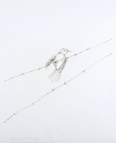 Vireo On Barbed Wire