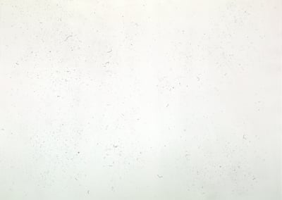 Dust Chaser 1