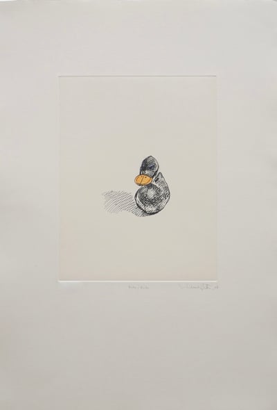 Pato