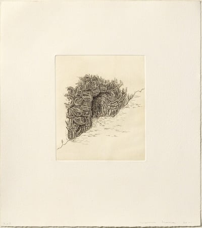 Cova