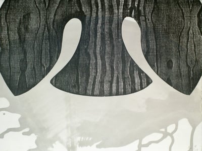 Swallow