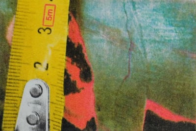 Untitled (Rulers III)