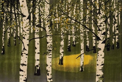 Birkenwald IV
