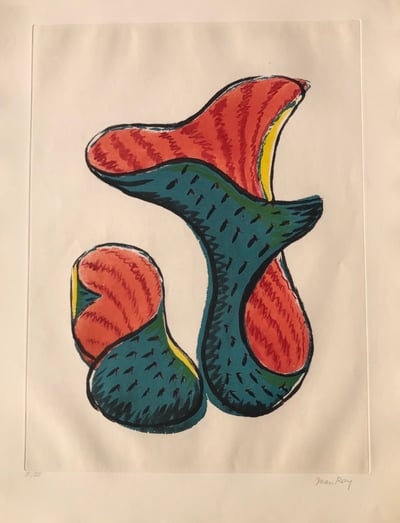 Untitled (from Transfiguration d' un Cactus)
