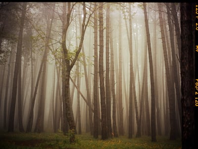 Upslope Fog In May