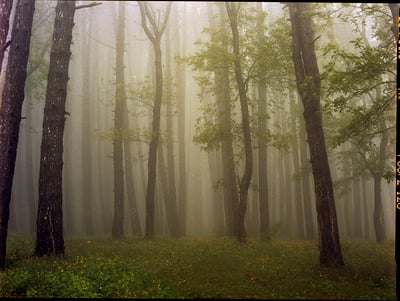 Upslope Fog In May 2