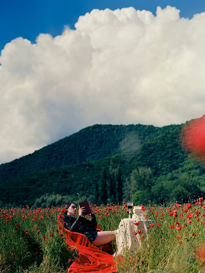 Picnic In A Poppy Field