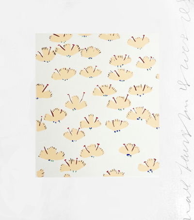 Wall Flower 20