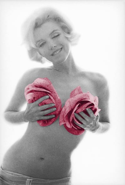 Marilyn Pink Roses Large
