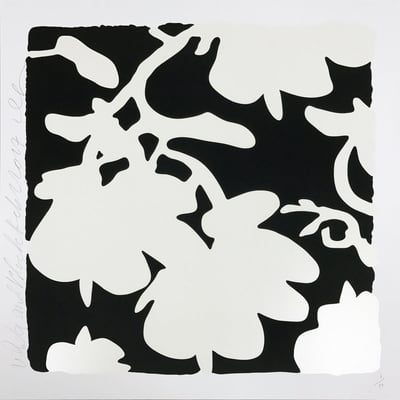 Lantern Flowers - White/Black background