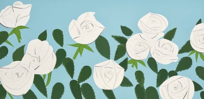 White Roses