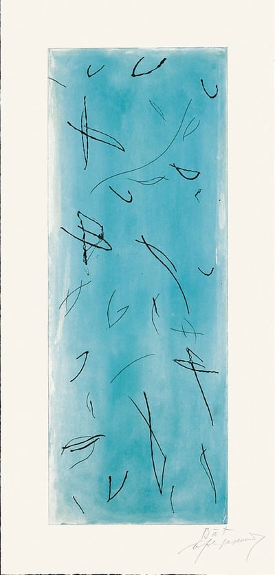 Ocells-2