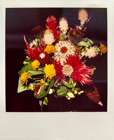 Polaroid #1