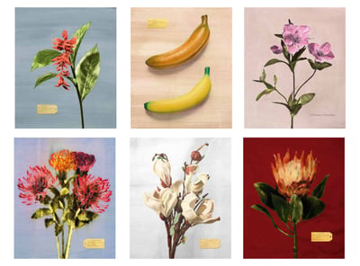 Flora Industrialis