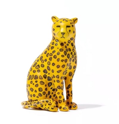 I Cannot Change My Spots but I Have No Desire to Change My Spots