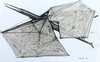 Study Related To Bird III