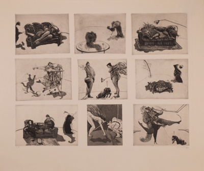 A Wildlife Catalogue II