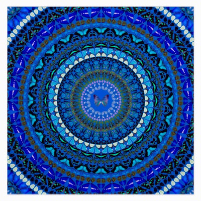Water (H6-9)