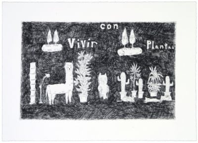 Vivir Con Plantas