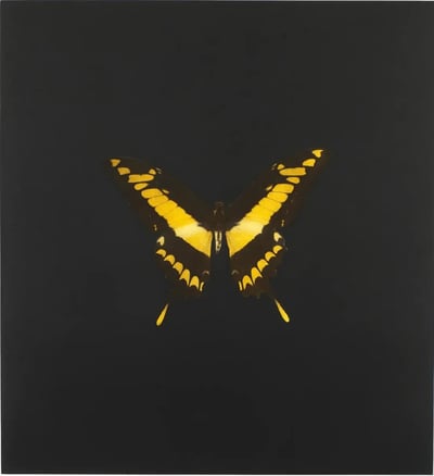 The Souls On Jacob’s Ladder Take Their Flight