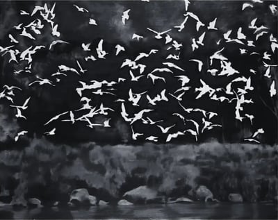 Vögel