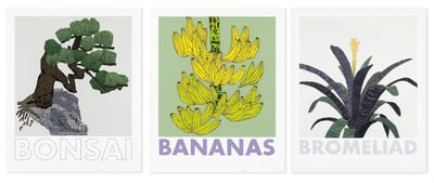 Bonsai, Banana And Bromelaid