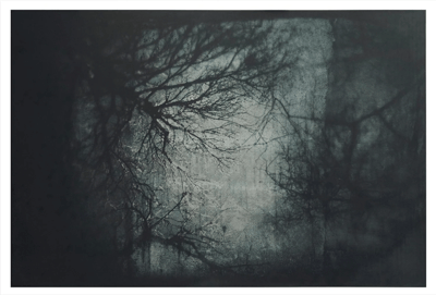 Aqua Oscura (Winter)