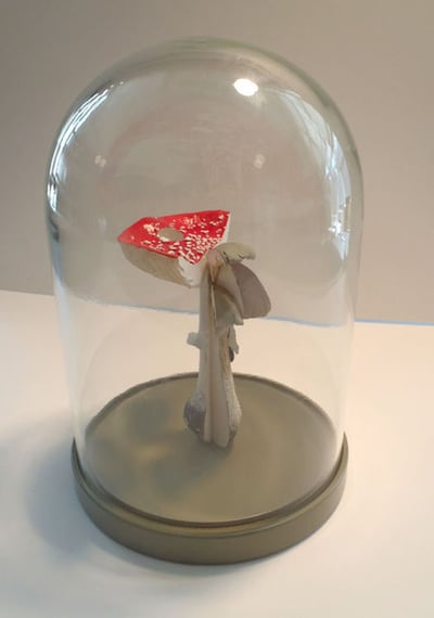 Holler, Carsten Holler, Carsten