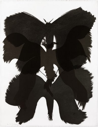 Amorales, Carlos