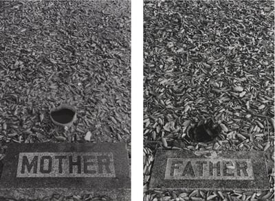 Calle, Sophie Calle, Sophie