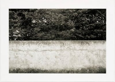 Sarmento, Juliao