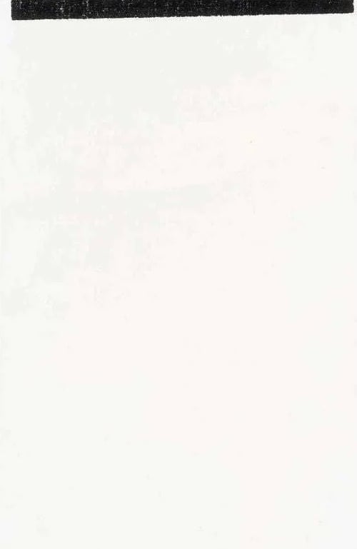 Wade Guyton