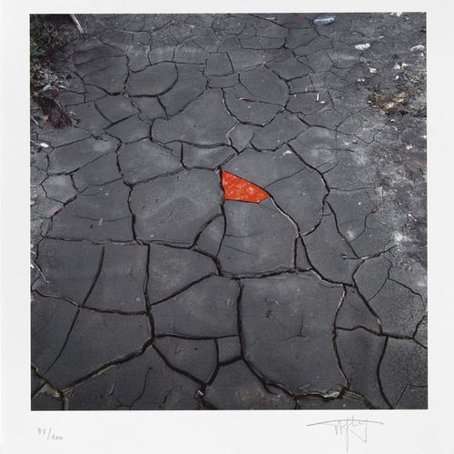 Andy Goldsworthy