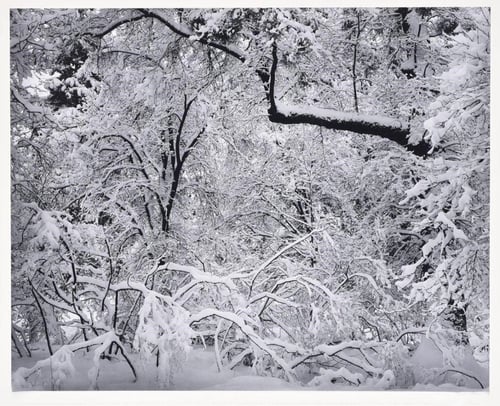 Ansel Adams