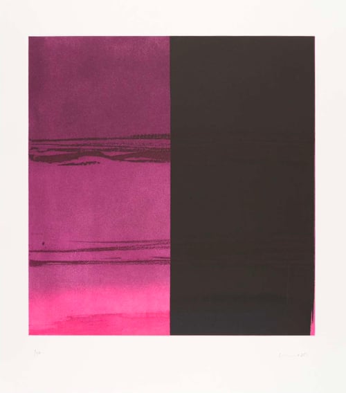 Callum Innes