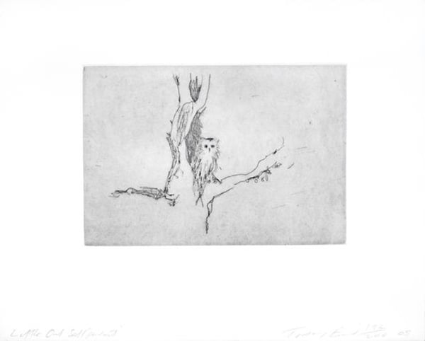 Little Owl (Self Portrait)
